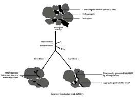 Se = f (g, h, b) catastrophic events demas, g. Oxygen Diffusion In Soils Understanding The Factors And Processes Needed For Modeling