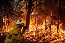 National wildland fire situation report. Experts Say Climate Change Is Driving Up The Risk Of Wildfires In Canada The Star
