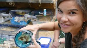 Anna, Nina, Pia und die wilden Tiere: Wie versteckt sich ein Elefant?