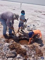 Maybe you would like to learn more about one of these? Jet Ok Great Salt Plains