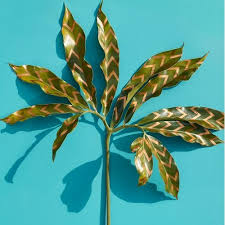 Here you may listen to live online station funkhaus europa radio right now for free. Stream Luso Fm 162 On Funkhaus Europa Of 07 05 2016 Y W Mix By Beat Laden By Daniel Haaksman Vem Out Now Listen Online For Free On Soundcloud