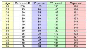 Aerobic Heart Rate Chart Ron Rantilla Rowing