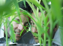 the gardenLAb experiment