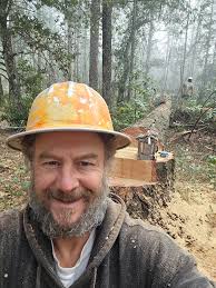 How to avoid ISA certification revocation for improper tree trimming?