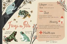 What You Need To Know About Pet Frogs