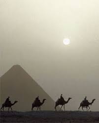 With tours departing four times daily (three in mid summer), uluru camel tours can cater for all visitors to this stunning. 150 Cairo Egypt Ideas Egypt Cairo Giza