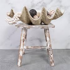 Large clam shell bowl decorating ideas. Dwbh Clam Shell Extra Large Monterey Grove