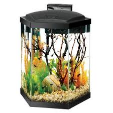 Aqueon 20 Gallon Hex Aquarium Starter Kit Hexagon Fish Tank Aquarium Kit Aquarium