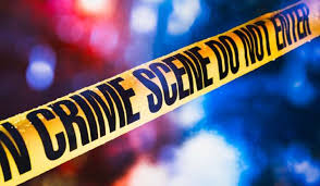 Decomposed Body Found Gujarat Surat Man Killed 5 Years Ago Skeletal Remains Decomposed News India Tv