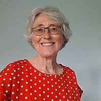 The Fifth Tweet (The Fifth Trilogy #1) by Roy M. Burgess