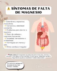 🌿⚡ Síntomas de falta de magnesio en tu cuerpo El magnesio es un mineral esencial que ayuda a tus músculos, huesos, corazón y sistema nervioso a funcionar correctamente. Cuando tu cuerpo carece