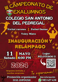 I.E San Antonio Del Pedregal
