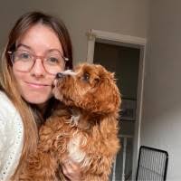 1800+ "Corps" profiles