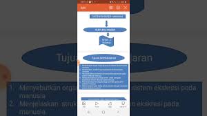Hewan yang tubuhnya tidak memiliki kepala atau ekor didefinisikan memiliki jaring saraf, yang jaring seperti pengaturan sel saraf yang memperpanjang seluruh tubuh. Sistem Organ Pada Manusia Dan Organ Penyusunnya Rasanya