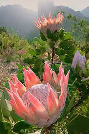 Pin On Spectacular Nature