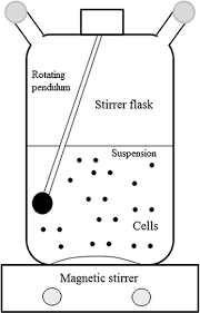 Culture of animal cell and tissue: Introduction To Animal Tissue Culture Science Book Chapter Iopscience