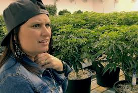 Growing state cannabis industry faces advertising limits to reach new  customers