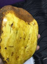 Profile for Bernstein Experte