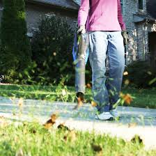 Best battery powered weed eater is convenient for homes which yards need extra grooming. Kobalt Cordless String Trimmer And Blower Set With 40 V Max Battery Rona
