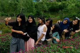 40 pakai akar bahar pelancong : Pesona Alam Kebun Bunga Di Rejang Lebong Cantik Pariwisata Bengkulu News