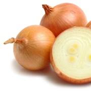 If you were naming instruments that start with f, you could include. Foods That Begin With O
