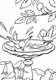 There are three main categories of colors: Bird Coloring Pages For Preschoolers