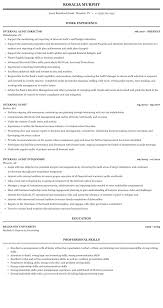 Let's take a look at how to do that. Internal Audit Resume Sample Mintresume
