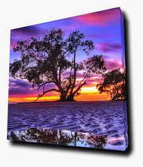 All png & cliparts images on nicepng are best quality. Transparent Sunset Sky Png Different Color Of Sky Png Download Kindpng