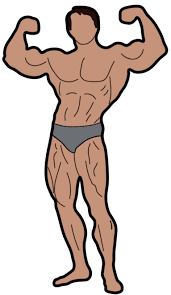 Arnold Schwarzenegger Golden Era Bodybuilding Pose Sticker In 2021 Schwarzenegger Bodybuilding Bodybuilding Arnold Schwarzenegger Bodybuilding