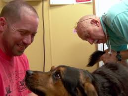 The Incredible Dr. Pol (TV Series 2011–2024)