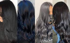 Getting highlights for black hair is easier than most other base colors since black seems to work with all other shades. The Best Hair Color Chart With All Shades Of Blonde Brown Red Black