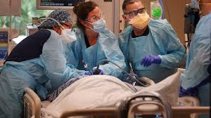 Marangelis Rivera Perez - BayCare Health System | LinkedIn