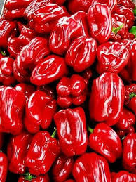 Image result for image of bright red things in nature