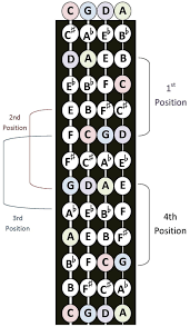 Cello Strings Chart Cello 7 Hand Positions Small Chart