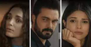 Przykładny obywatel (2019)