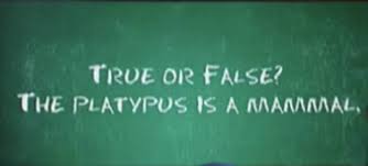 The child was accused of stealing homework passes. Quiz Are You Smarter Than A Fifth Grader