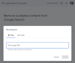 Can The Google Remove Outdated Content Tool Remove Competitor Pages?