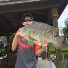 Game & Fish Magazine