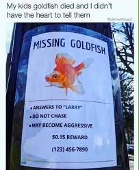 James Woods On Twitter Funny School Memes Funny Relatable Memes Memes