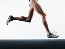 However, there is no universally standard definition of what constitutes an organ, and some tissue groups' status as one is debated. Parts Of The Lower Extremity Of The Body