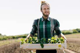 How To Get Usda Organic Certification