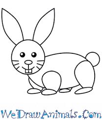 Bunny rabbit drawing for kids. How To Draw A Simple Rabbit For Kids
