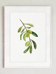 Black Olive Fine Art Print Set 4 Green Olive Watercolor Etsy Art Print Set Fine Art Prints Tree Watercolor Painting