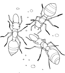 The queen ant spends her life laying millions of eggs. Coloring Pages Ant Home Coloring Pages