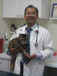 By choice we remain a small veterinary hospital, allowing all of our staff to get to know you and your pet. Www Healthypetsvet Com Brooklyn Ny Our Doctors Dr Briones Veterinary