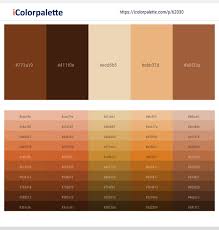 Maybe you would like to learn more about one of these? 2 Latest Color Schemes With Tacao And Sepia Skin Color Tone Combinations 2021 Icolorpalette