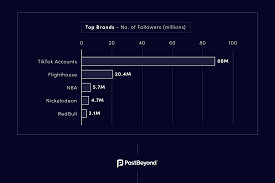 Who is the richest tiktoker in india 2020 : These Are The Most Popular Tiktok Accounts And Challenges Of 2020 Digital Information World