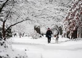 How much snow will fall in Louisville? Check totals with our snowfall tracker