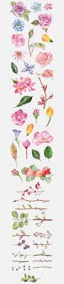 Watercolor painting flowers for beginners. Watercolor Flower Png Images Pngwing