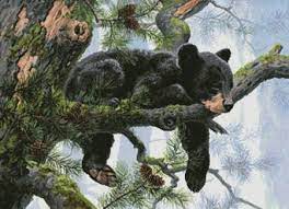 ~ color image of finished design. Daydreaming Cross Stitch Pattern By Tereena Clarke Crosstitch Com